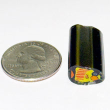 Load image into Gallery viewer, Dave Strobel Fish Cane
