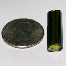 Load image into Gallery viewer, Dave Strobel Angle Fish Cane
