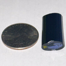 Load image into Gallery viewer, Dave Strobel Blue Tang Fish Cane

