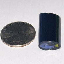 Load image into Gallery viewer, Dave Strobel Blue Tang Fish Cane
