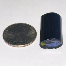 Load image into Gallery viewer, Dave Strobel Blue Tang Fish Cane
