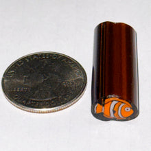 Load image into Gallery viewer, Dave Strobel Clown Fish Cane
