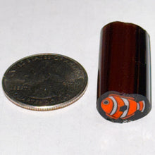 Load image into Gallery viewer, Dave Strobel Clown Fish Cane
