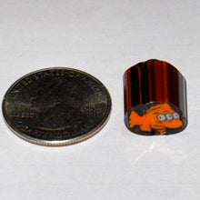 Load image into Gallery viewer, Dave Strobel Blinky Cane
