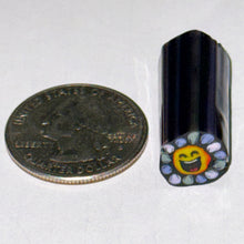 Load image into Gallery viewer, Stephen Boehme Happy Emoji Flower Cane
