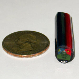 Beth James Bicycle Day Cane