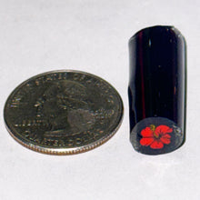 Load image into Gallery viewer, Malachi Wilkinson Hibiscus Flower Cane

