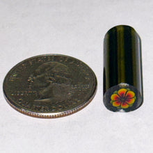 Load image into Gallery viewer, Malachi Wilkinson Flower Cane
