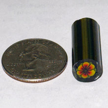 Load image into Gallery viewer, Malachi Wilkinson Flower Cane
