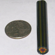 Load image into Gallery viewer, Malachi Wilkinson Flower Cane
