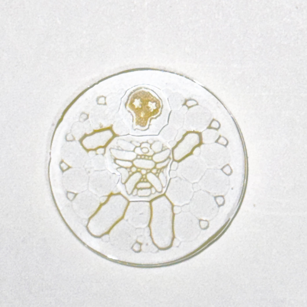 Bob Snodgrass x Oliver Glad The Fat Man Coin