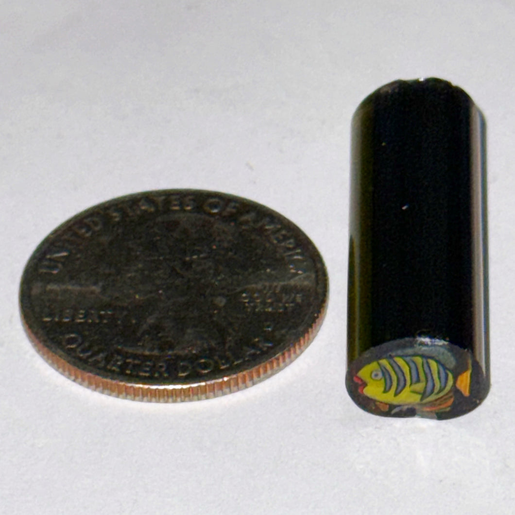 Dave Strobel Parrot Fish Cane