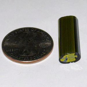 Dave Strobel Angle Fish Cane