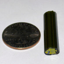 Load image into Gallery viewer, Dave Strobel Angle Fish Cane
