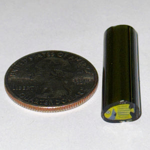 Dave Strobel Angle Fish Cane