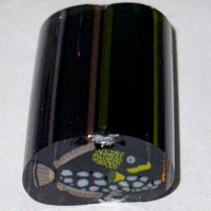 Dave Strobel Trigger Fish Cane