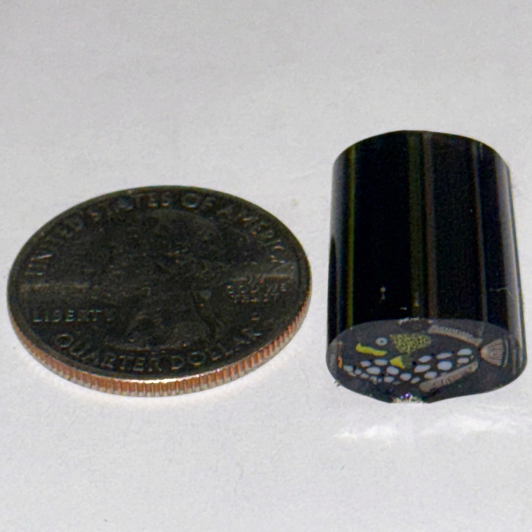 Dave Strobel Trigger Fish Cane