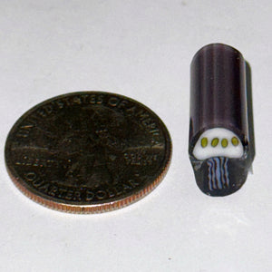 Dave Strobel Jellyfish Cane