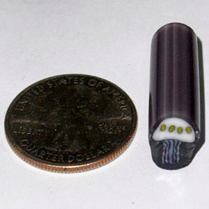 Dave Strobel Jellyfish Cane