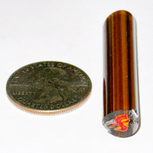 Malachi Wilkinson Trojans Cane
