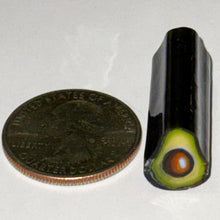 Load image into Gallery viewer, Stephen Boehme Avocado Cane
