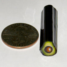 Load image into Gallery viewer, Stephen Boehme Avocado Cane
