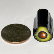 Load image into Gallery viewer, Stephen Boehme Avocado Cane
