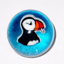 Load image into Gallery viewer, Keys Glass Puffin Marble
