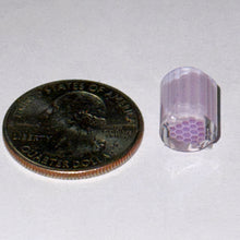 Load image into Gallery viewer, Erik Anders Lotus White Royal Jelly Experimental Honeycomb Cane
