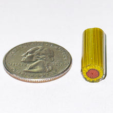 Load image into Gallery viewer, Dave Strobel Sunflower Cane
