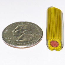 Load image into Gallery viewer, Dave Strobel Sunflower Cane
