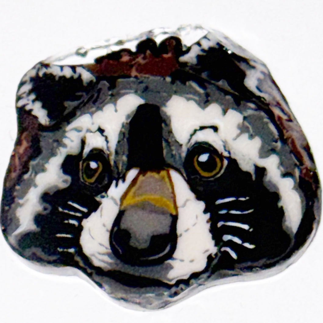 Stephen Boehme Raccoon Head Coin