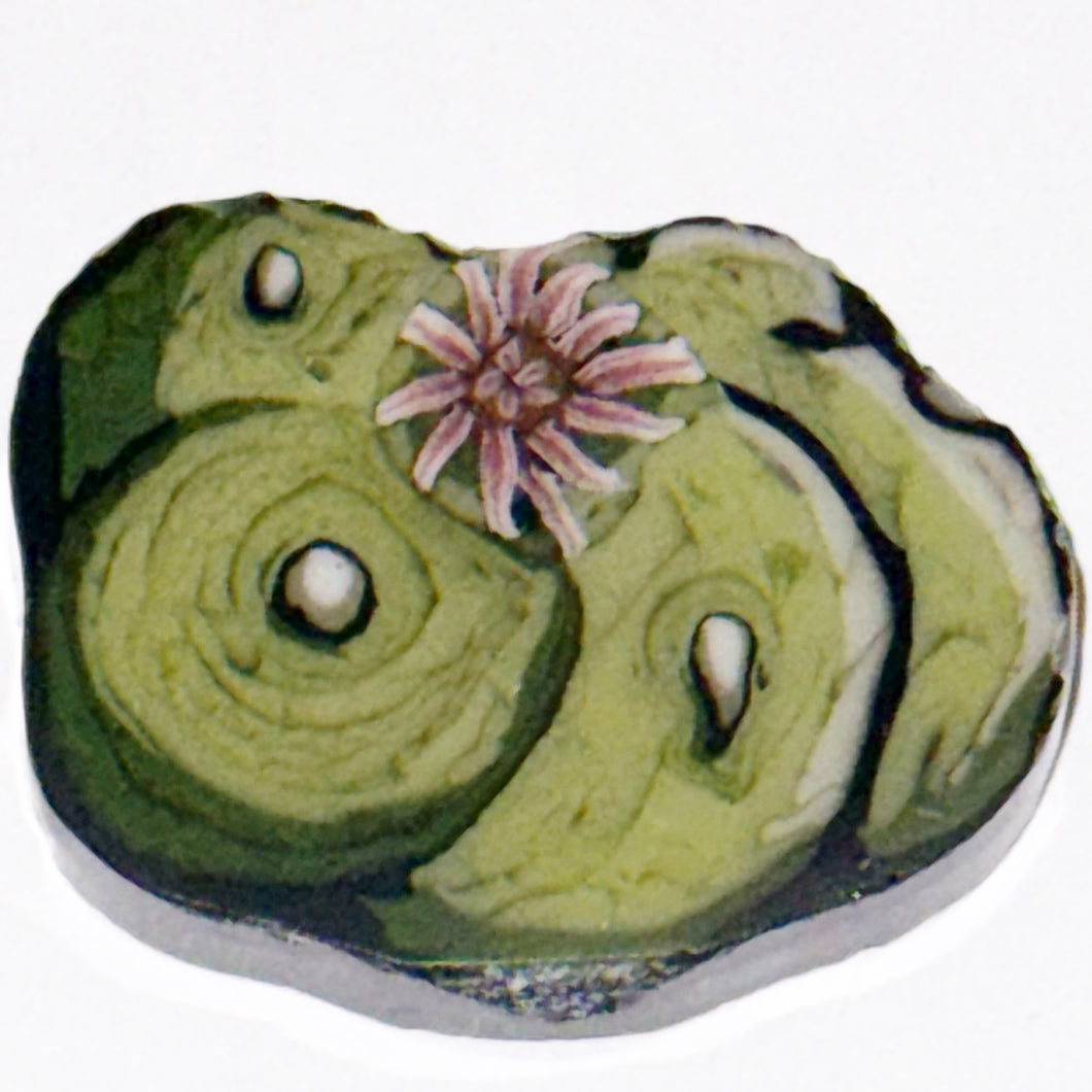 Stephen Boehme Lophophora Coin
