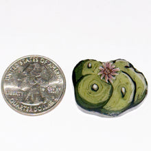 Load image into Gallery viewer, Stephen Boehme Lophophora Coin
