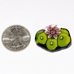 Stephen Boehme Lophophora Coin