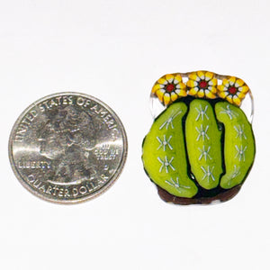 Stephen Boehme Barrel Cactus Coin