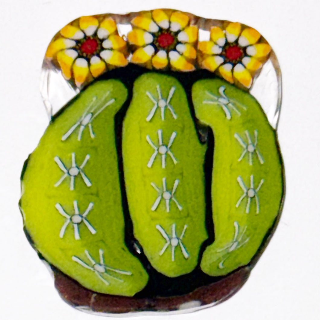 Stephen Boehme Barrel Cactus Coin