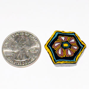 Stephen Boehme Hexagon Flower Tile Coin