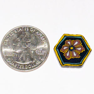 Stephen Boehme Hexagon Flower Tile Coin