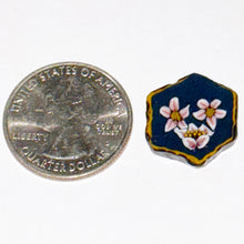 Load image into Gallery viewer, Stephen Boehme Hexagon Floral Tile Coin
