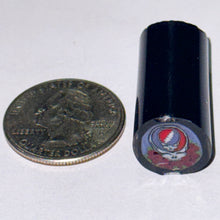 Load image into Gallery viewer, Dave Strobel Steal Your Stealie w/Roses Cane
