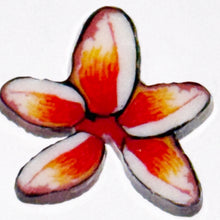 Load image into Gallery viewer, Stephen Boehme Hibiscus Flower Coin
