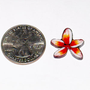 Stephen Boehme Hibiscus Flower Coin