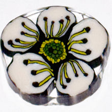 Load image into Gallery viewer, Stephen Boehme Cherry Blossom Flower Coin

