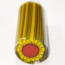 Load image into Gallery viewer, Dave Strobel Sunflower Cane
