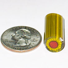 Load image into Gallery viewer, Dave Strobel Sunflower Cane
