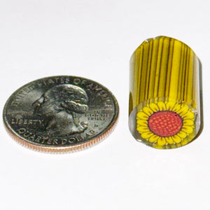 Dave Strobel Sunflower Cane