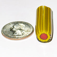 Load image into Gallery viewer, Dave Strobel Sunflower Cane
