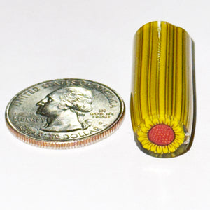 Dave Strobel Sunflower Cane