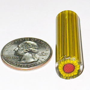 Dave Strobel Sunflower Cane